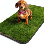 Artificial Grass Puppy Potty Training Pad Ottomanson 15x30 Tray-0